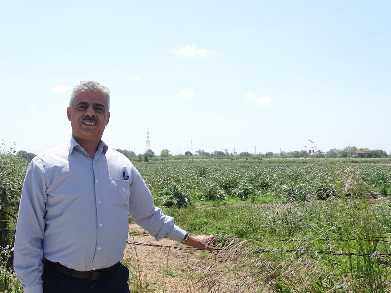 Agricultura palestina