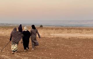 Canvi climàtic dones palestines