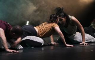 drets culturals palestina dansa