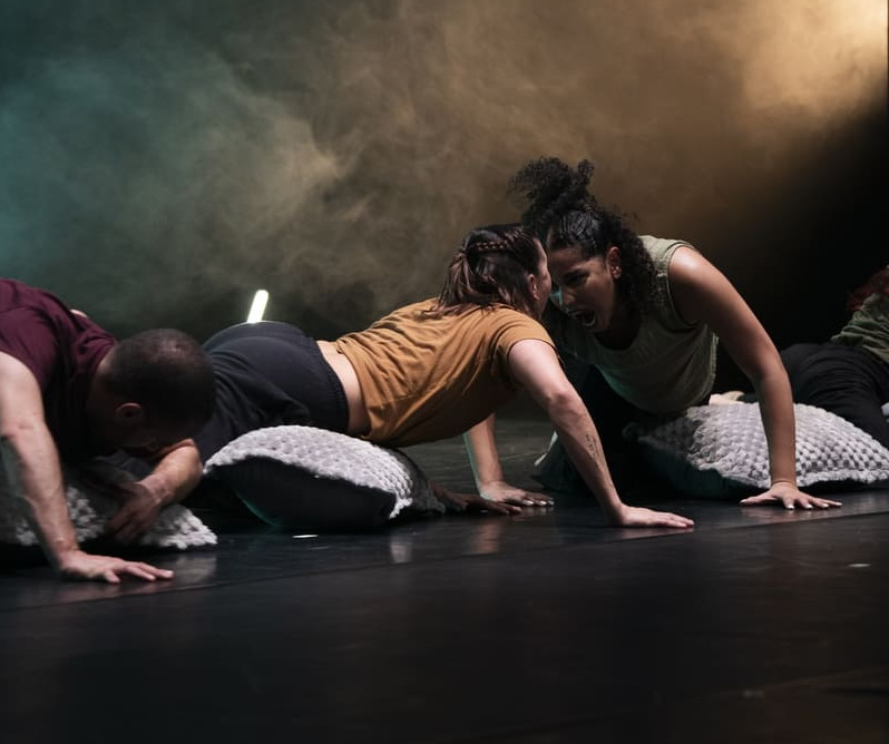 drets culturals palestina dansa
