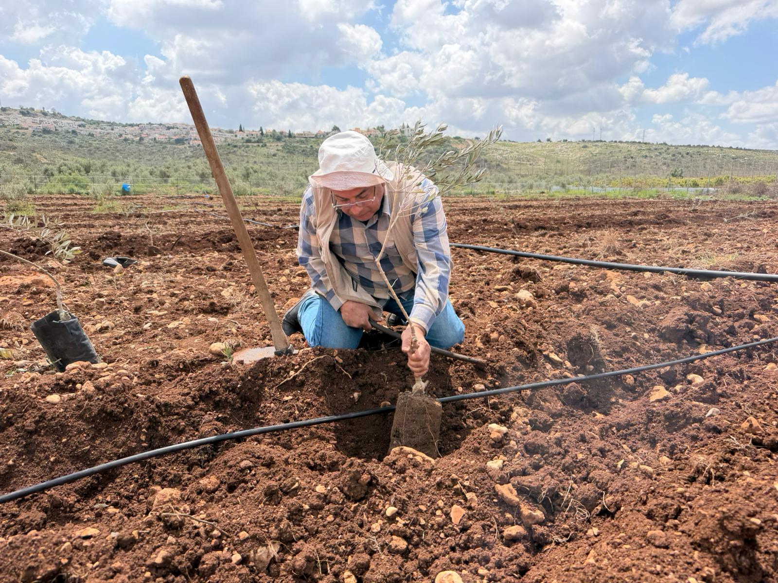 Camperol palestí treballa terra